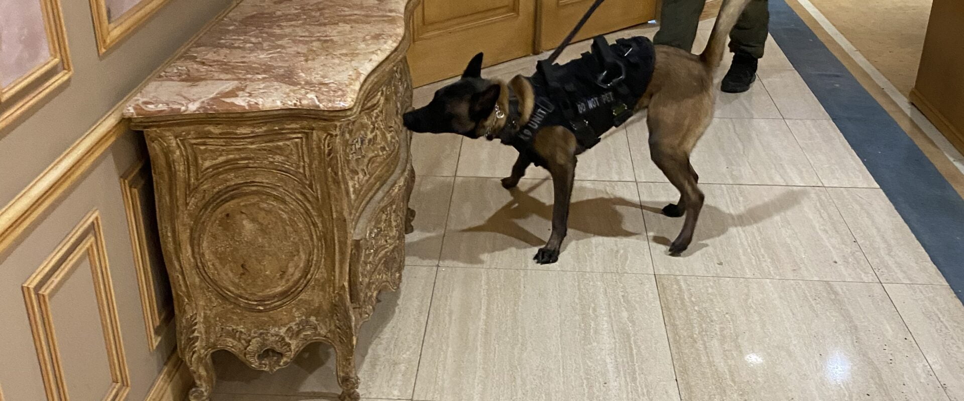 ScentWorks K9 Bomb Dogs, Drug Dogs & Scent Detection K9s