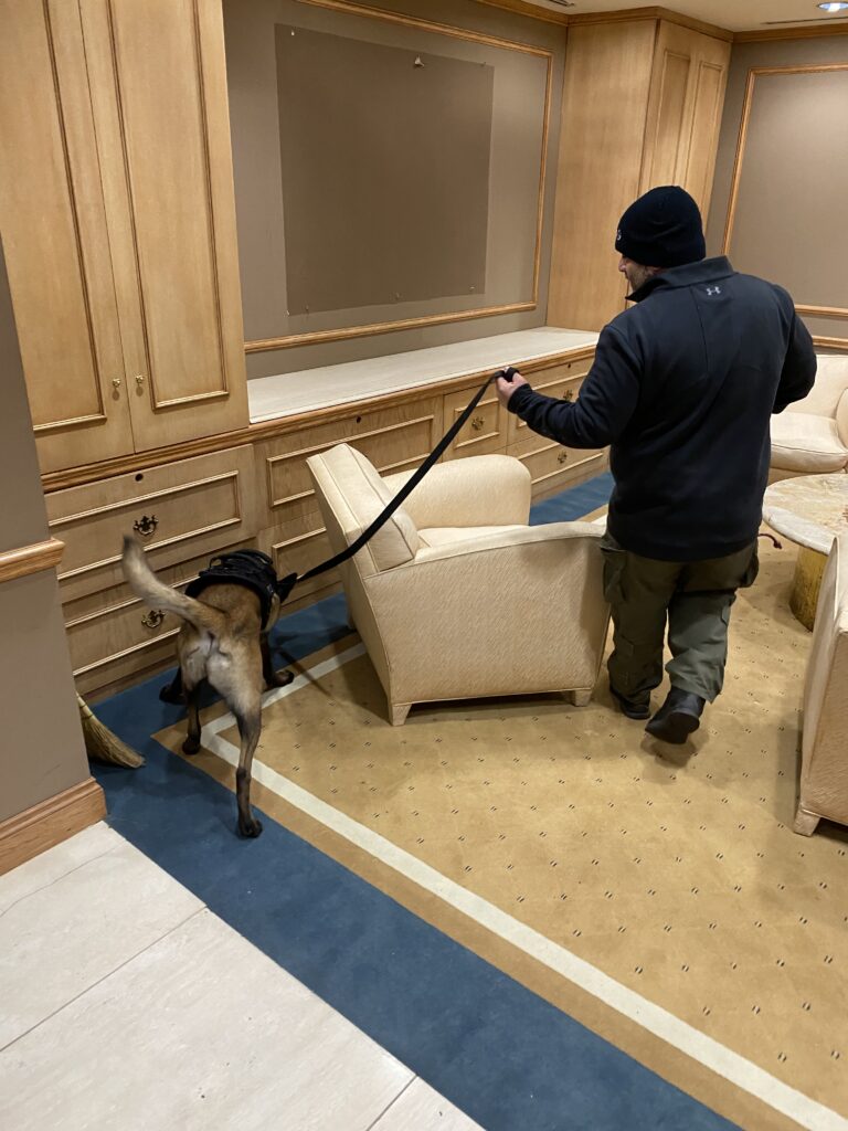 bomb dog searches for explosives