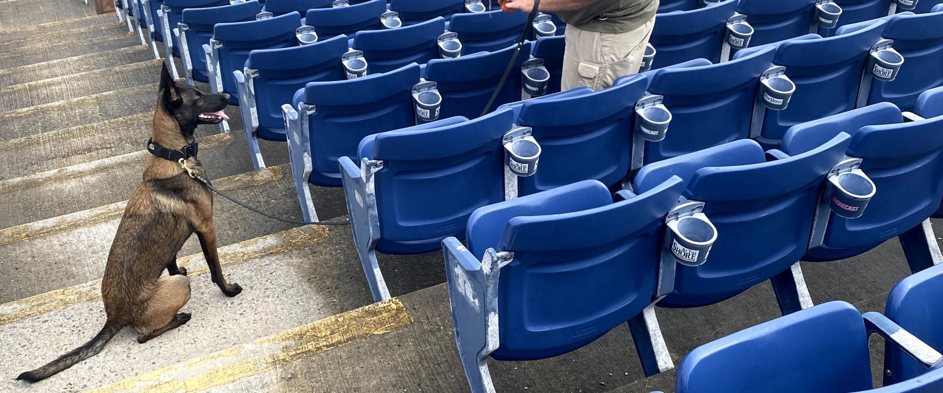 ScentWorks K9 Bomb Dogs, Drug Dogs & Scent Detection K9s