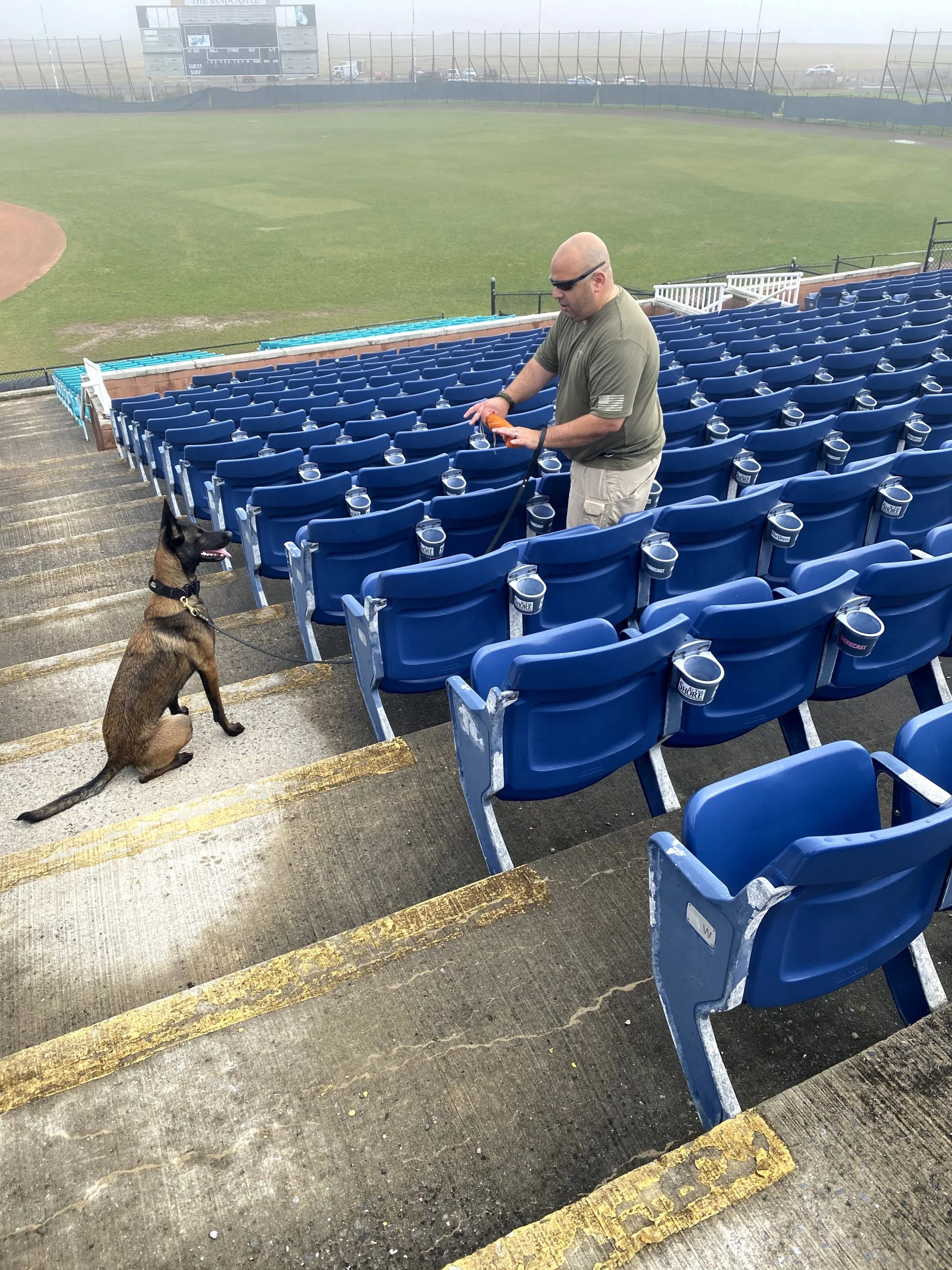 K9 team supporting event security