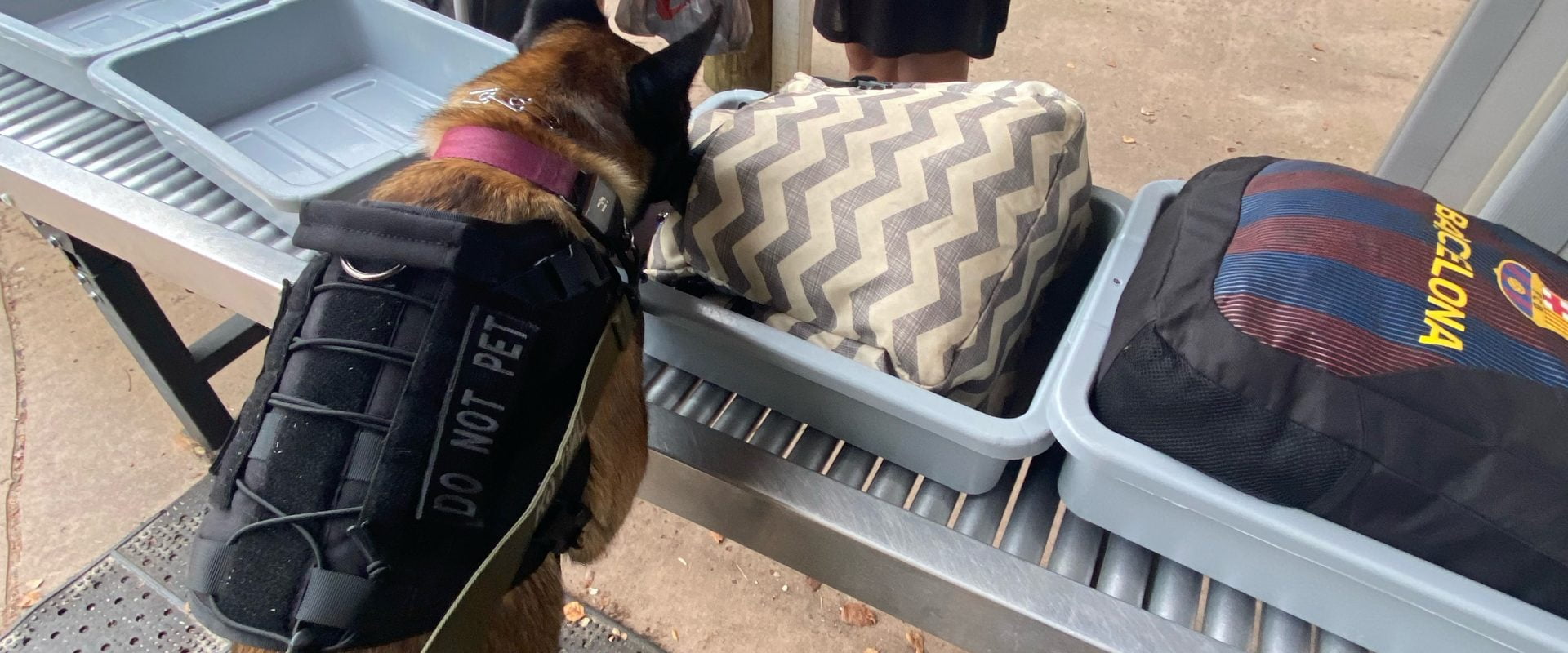 ScentWorks K9 Bomb Dogs, Drug Dogs & Scent Detection K9s