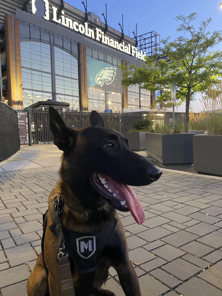 ScentWorks K9 Partner