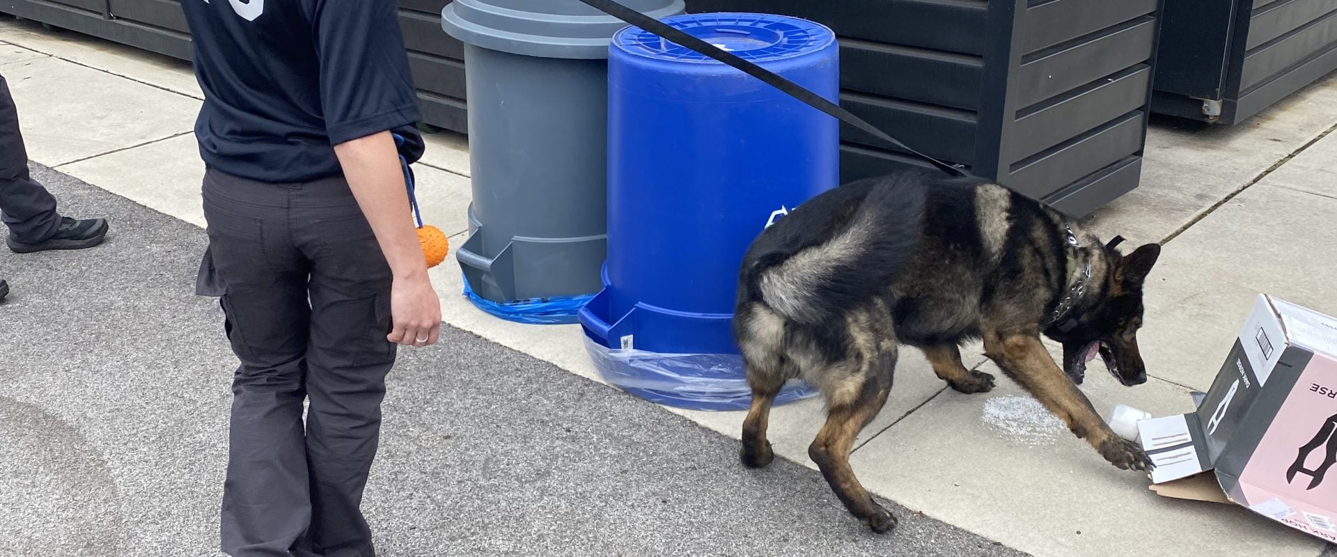 ScentWorks K9 Bomb Dogs, Drug Dogs & Scent Detection K9s