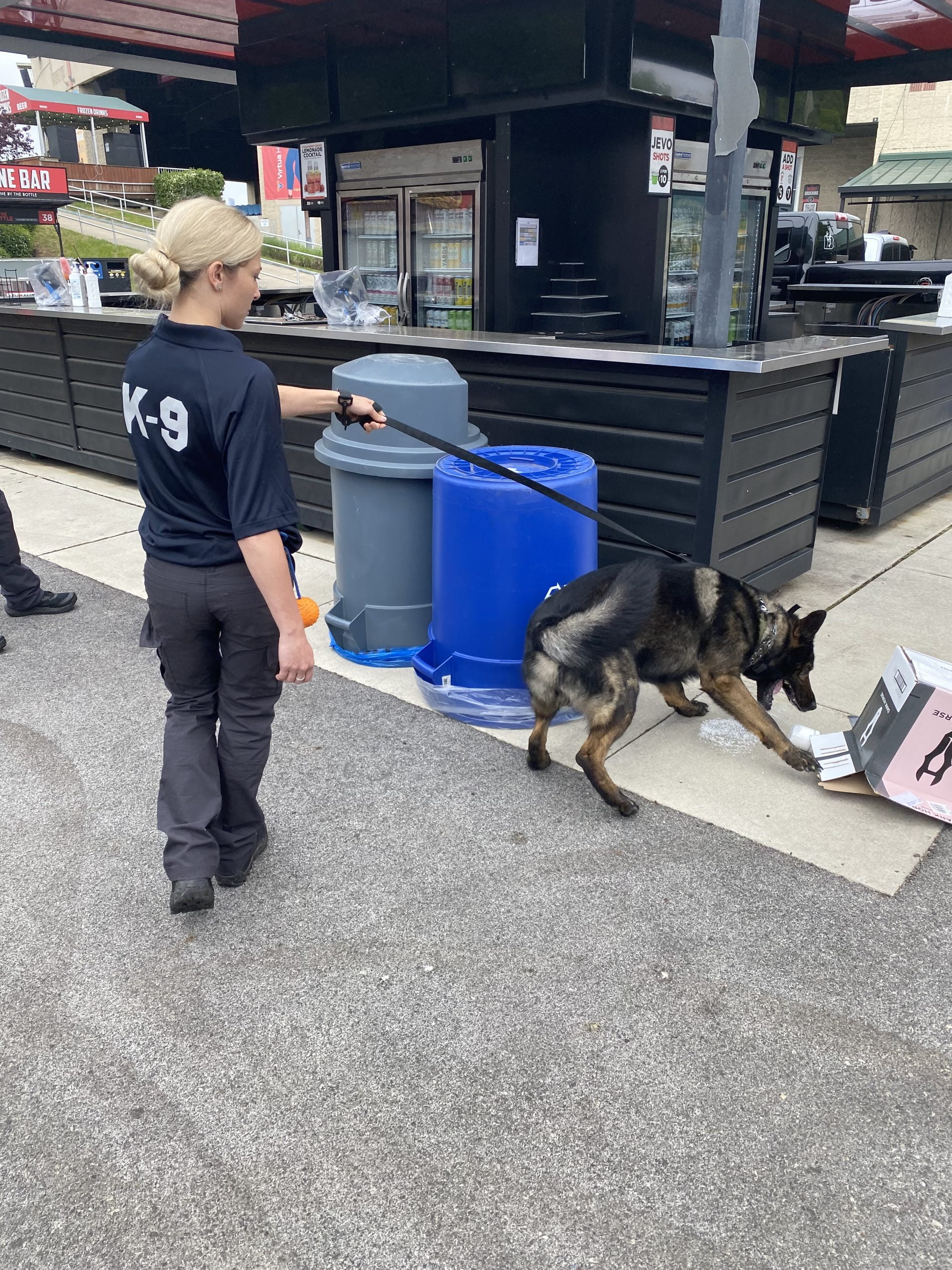 What drugs can a dog find? ScentWorks K9