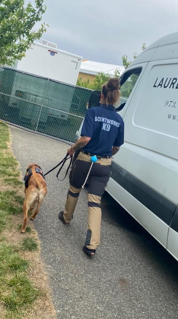 A scentworks explosives k9 searches vehicles for a music festival