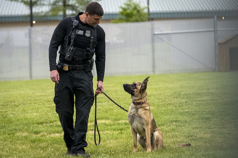 A K9 Trainer and His Partner.