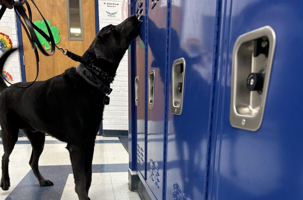 ScentWorks K9 Partner Evaluates a School Locker