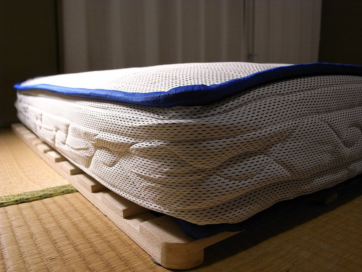 Bed bug detection inspection