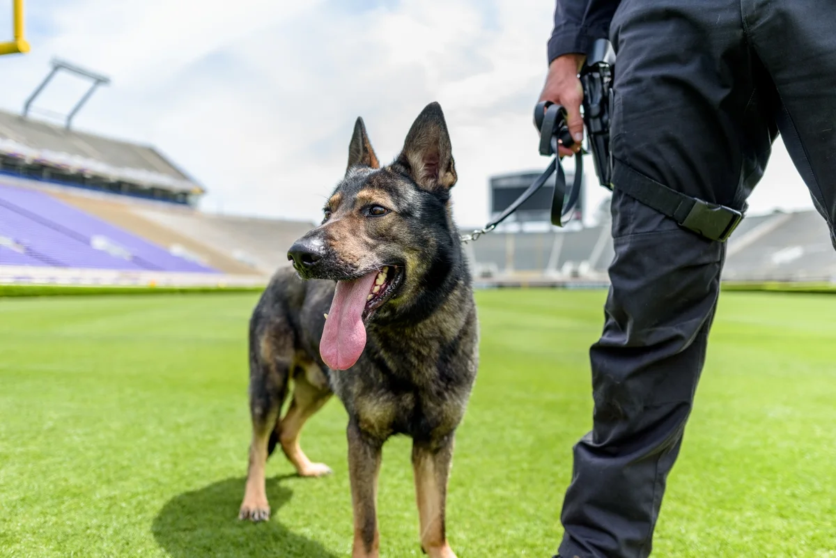 Sporting event stadium security